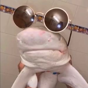 Meet your Posher, Adam